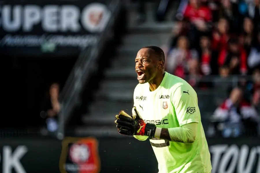 Steve Mandanda, adopté à Rennes et de retour chez les Bleus