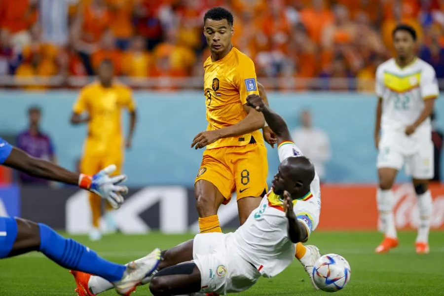 En direct : Sénégal – Pays-Bas