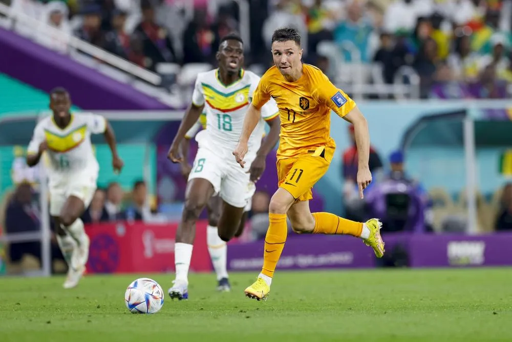 Mondial 2022 : Sénégal-Pays-Bas : Steven Berghuis tire dans la tronche d&rsquo;une supportrice… Puis lui offre son maillot d&rsquo;échauffement