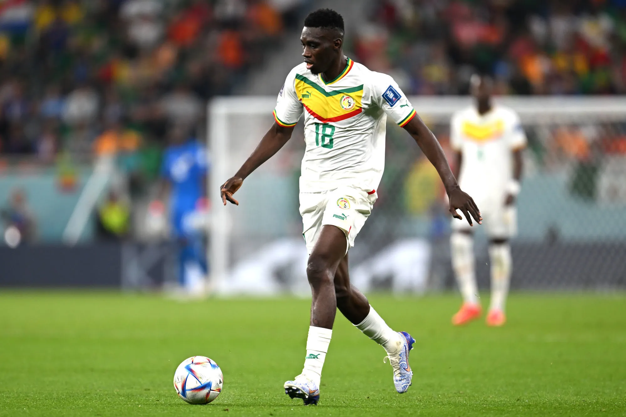 Pronostic Qatar Sénégal : Analyse, cotes et prono du match de la Coupe du monde 2022