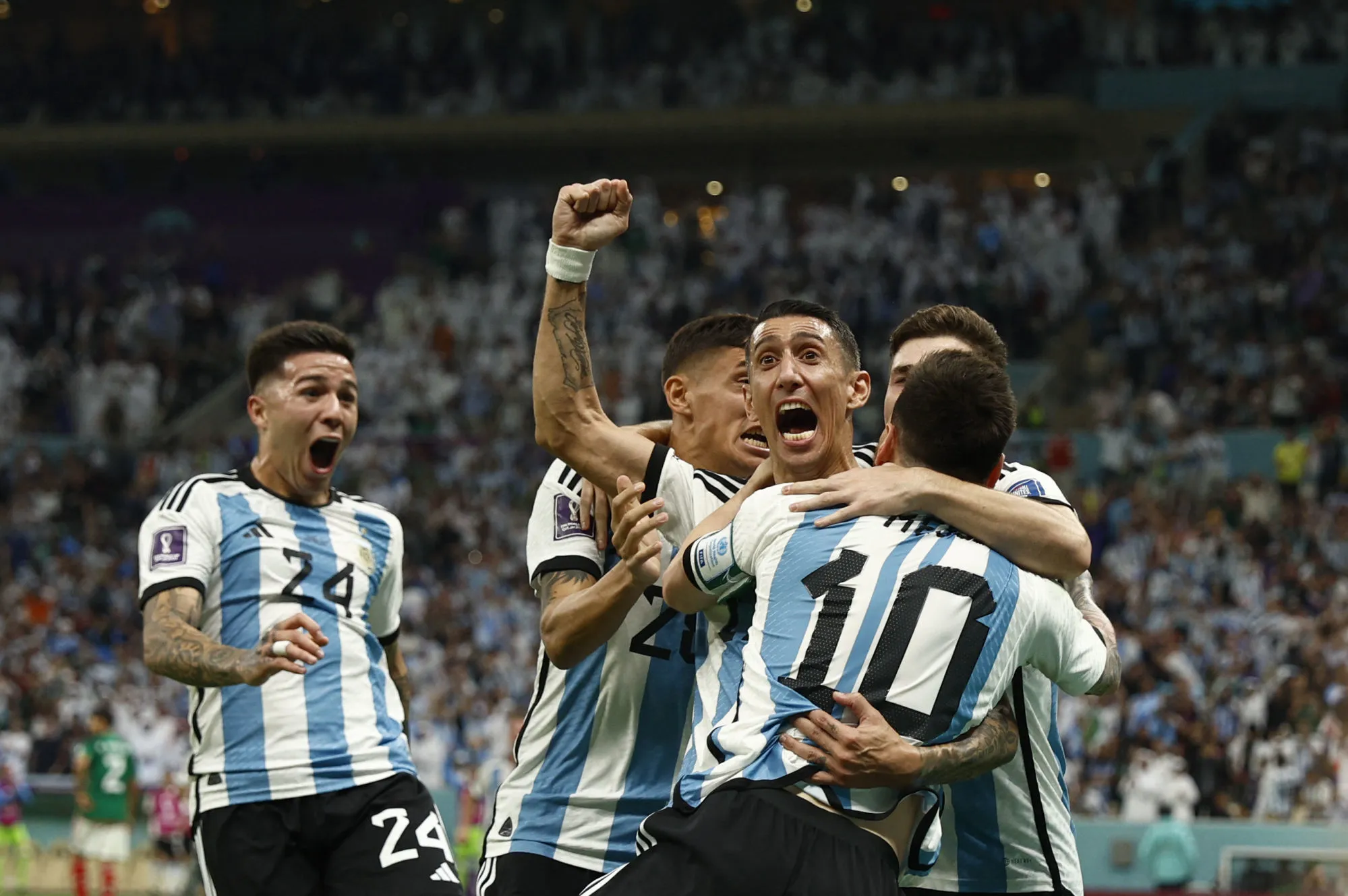 Pronostic Pologne Argentine : Analyse, cotes et prono du match de la Coupe du monde 2022