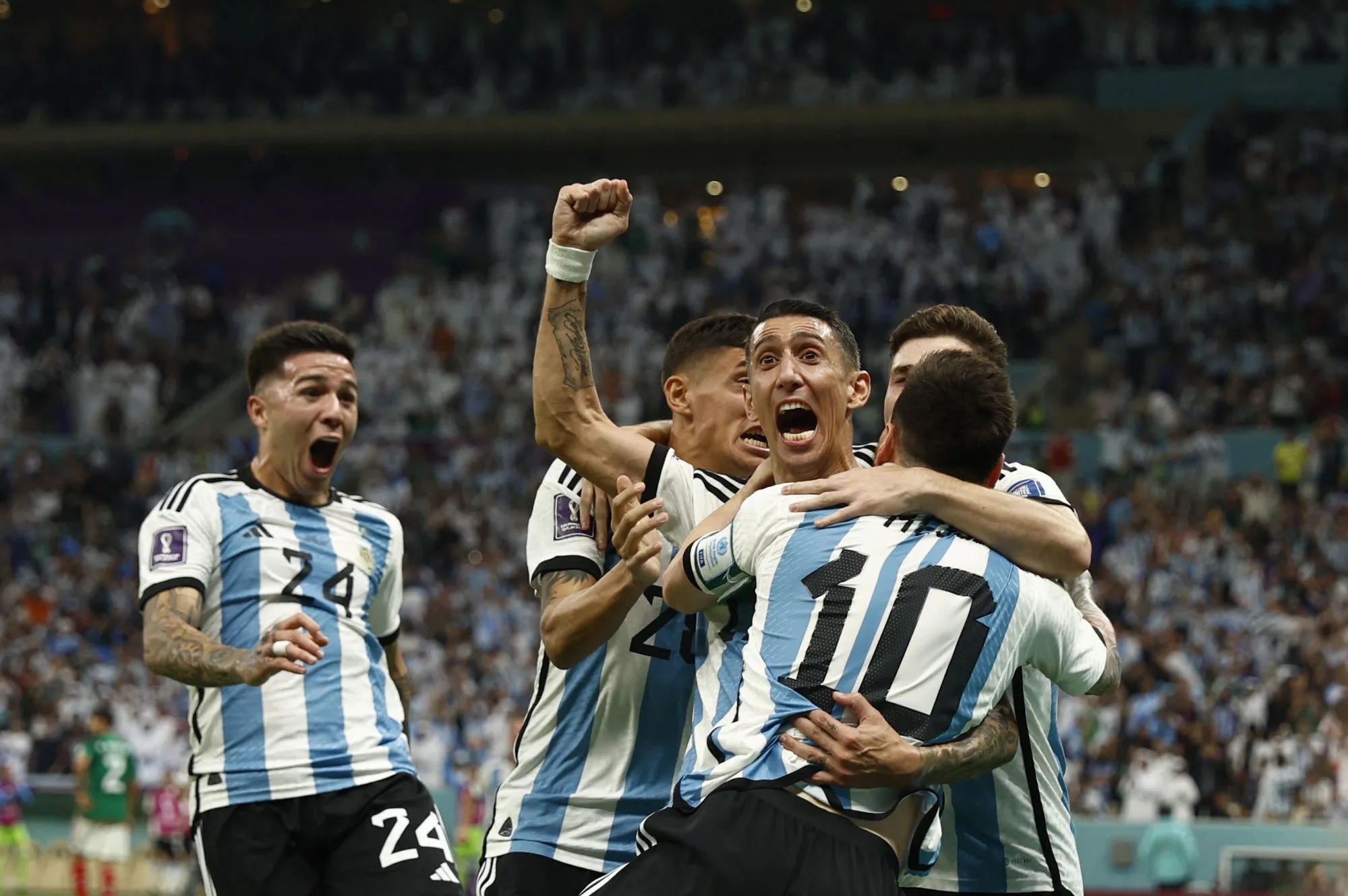 Pronostic Pologne Argentine : Analyse, cotes et prono du match de la Coupe du monde 2022
