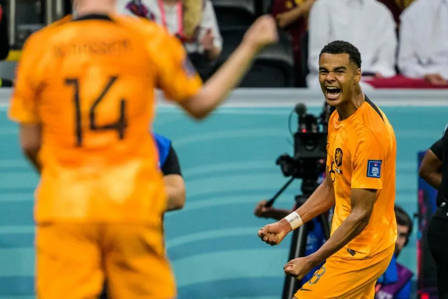 Vainqueurs du Qatar, les Pays-Bas filent en huitièmes