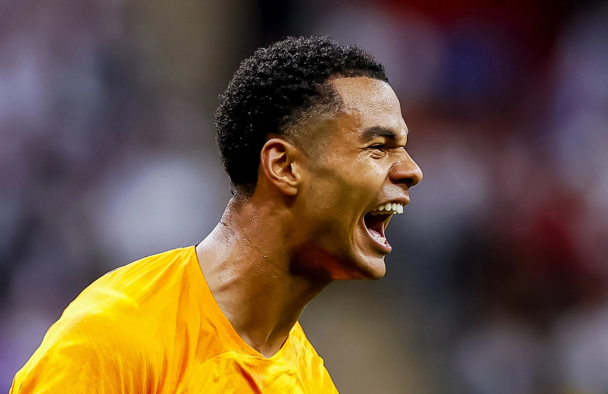 Cody Gakpo deuxième joueur de l’histoire à ouvrir le score trois fois en Coupe du monde