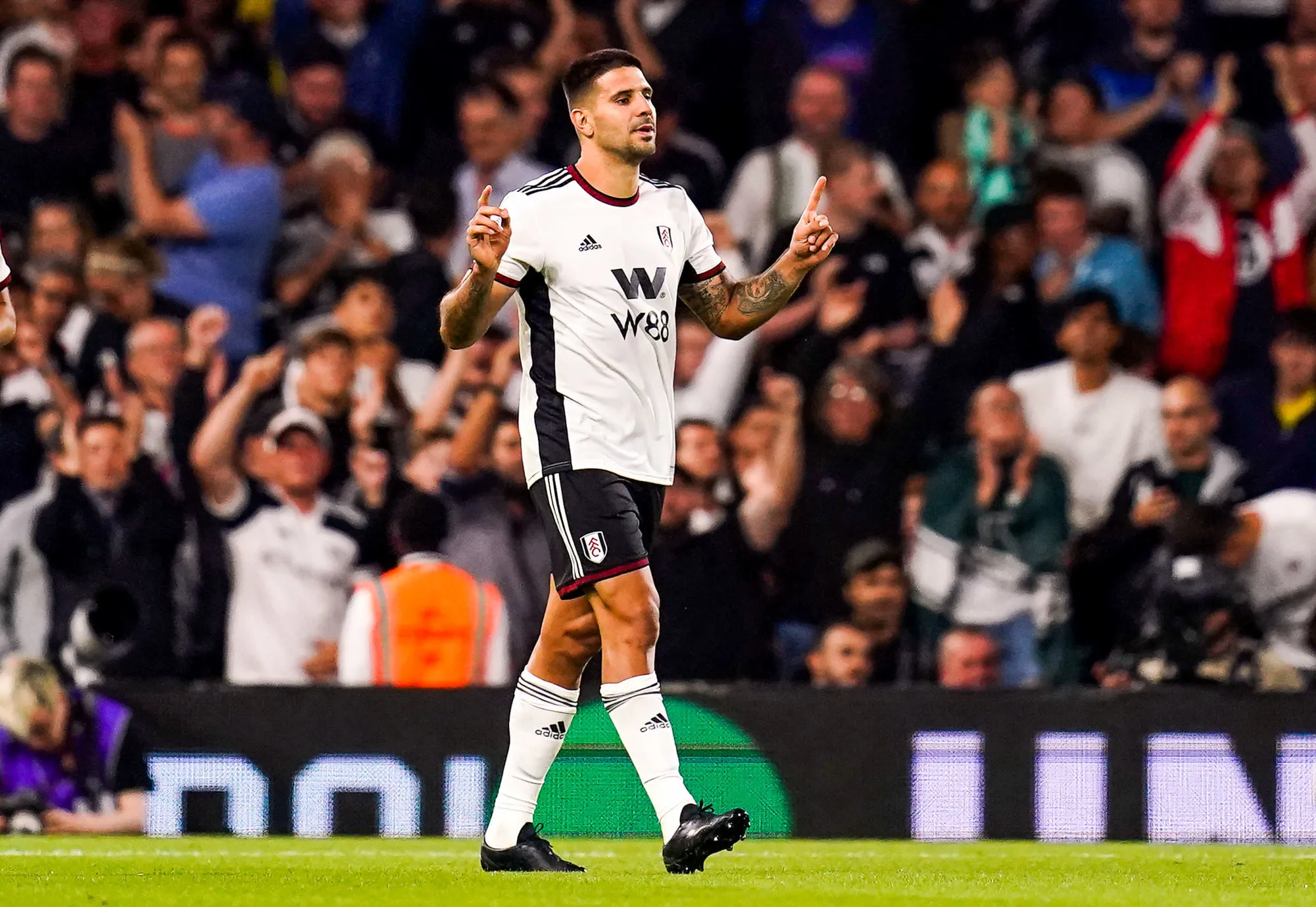 Pronostic Leicester Fulham : Analyse, cotes et prono du match de Premier League