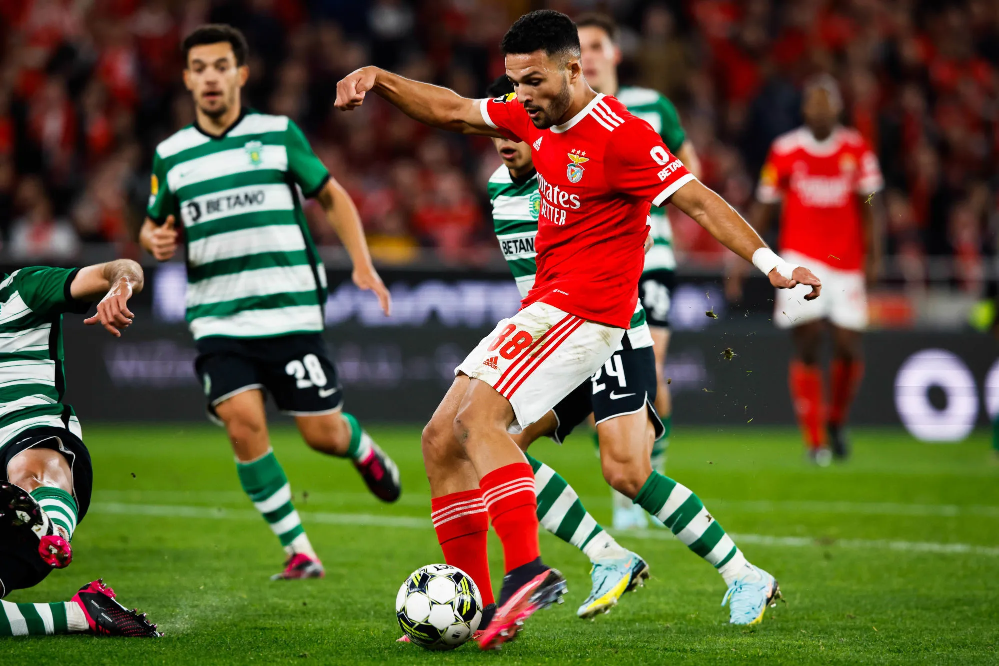 Benfica et le Sporting se quittent dos à dos