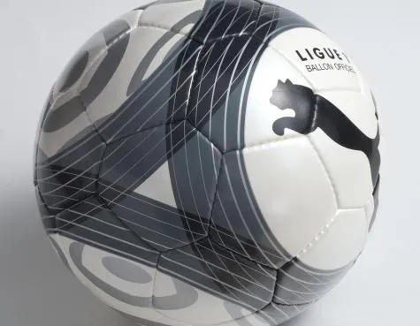 La Ligue 1 va rugir