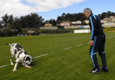 Gerets pleure son chien