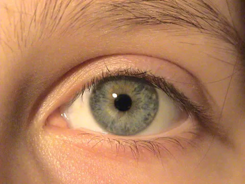 Un supporter du PSG perd un oeil