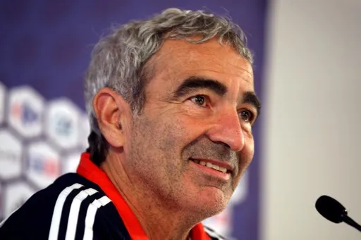 Vieira : Domenech s&rsquo;explique