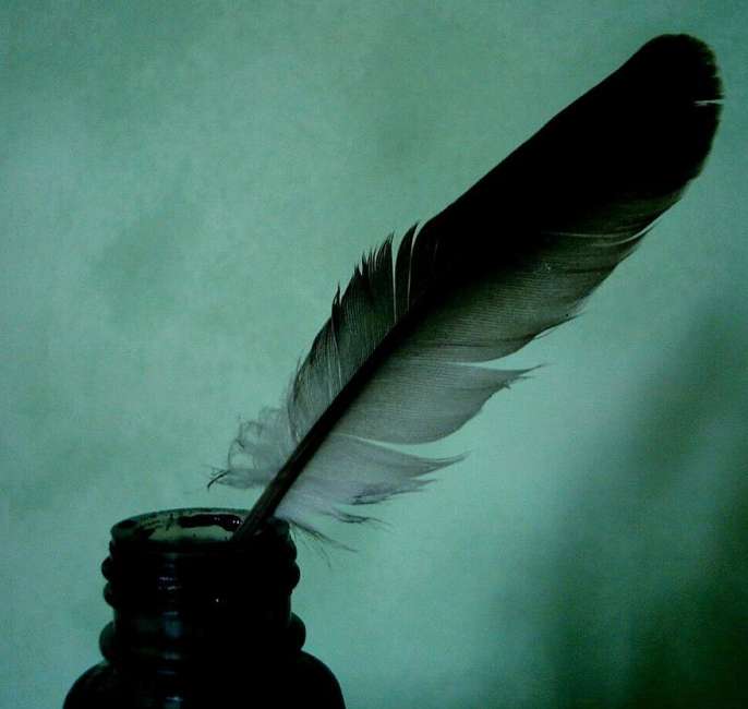 Blog : Dominique A(rdenne)