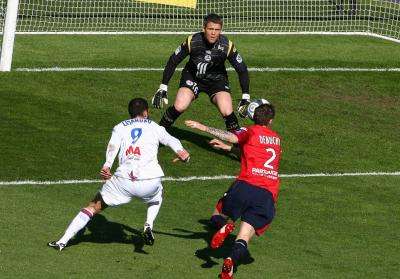 Entre chiens et Lyon