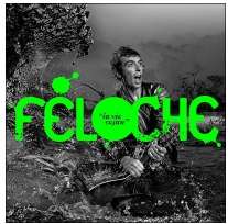 Blog : Feloche – La vie cajun