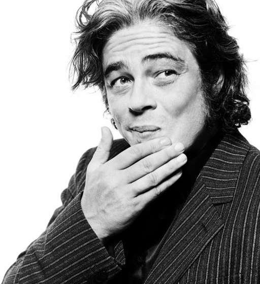 Del Toro jouera-t-il Maradona ?