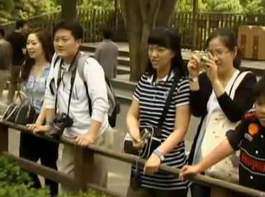 Les Pingouins en place pour le Mondial