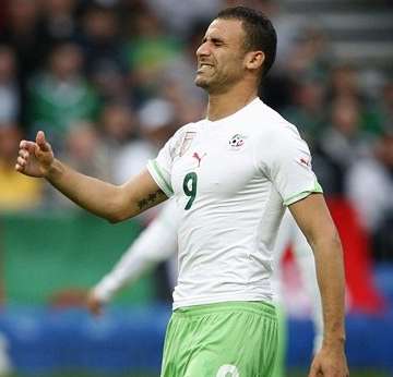 Les Fennecs en aveugles