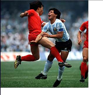 Diego et Moo se connaissent bien