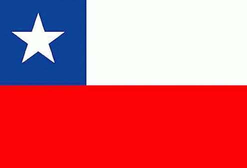Chili: 81 arrestations à Santiago