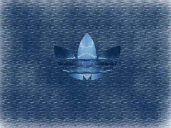 Adidas jouera la finale