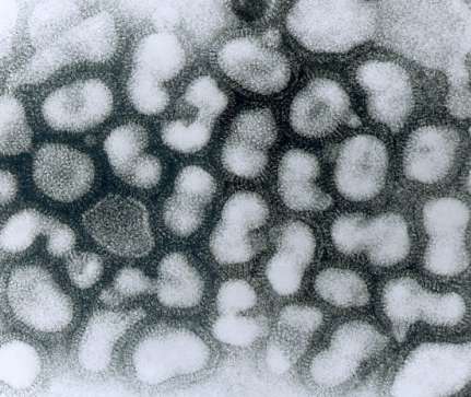 Mannschafft: La grippe s&rsquo;invite