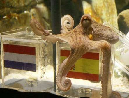 Paul le Poulpe et autres bon tuyaux