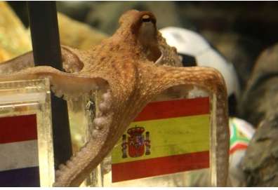 100 000$ pour le Poulpe