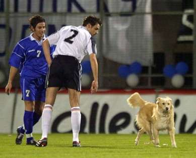 Metzelder retourne à la maison