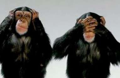 Le comité du vendredi