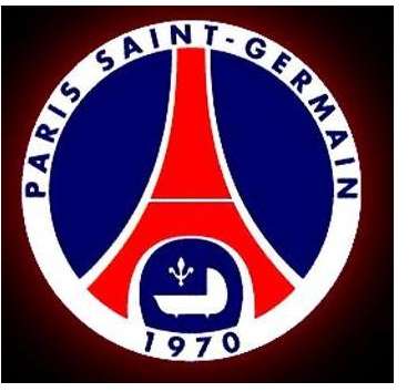 PSG : le Qatar investisseur ?