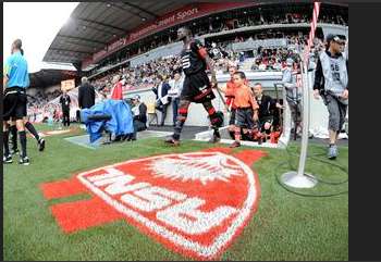 La guerre du synthétique