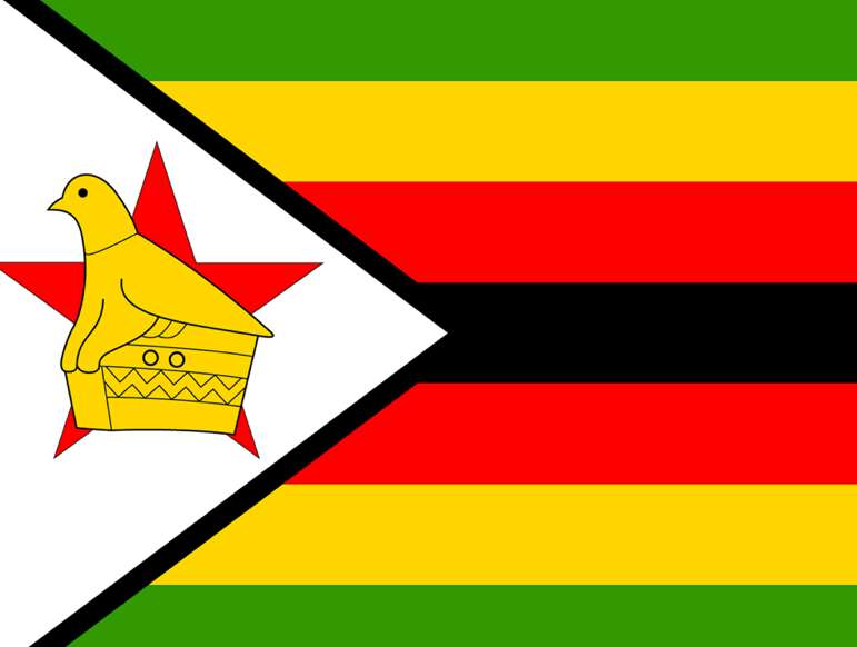 Le coach du Zimbabwe expulsé