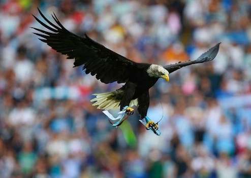 Pas d&rsquo;aigle pour le derby romain