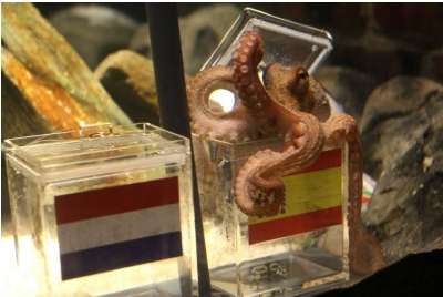 Les Experts Oberhausen