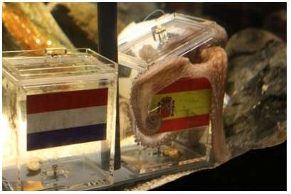 Le jackpot Paul le Poulpe