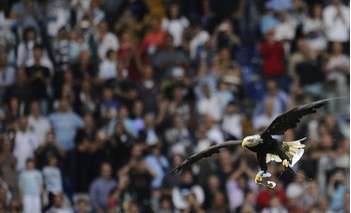 L’aigle ne volera pas pour le derby