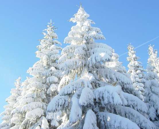 Brest-Lens reporté mardi