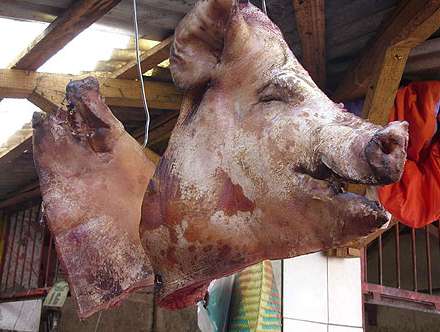 Cercueil et tête de cochon