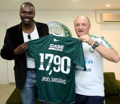 Palmeiras as du recyclage ?