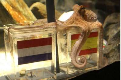 Vidéo : le mausolée de Paul