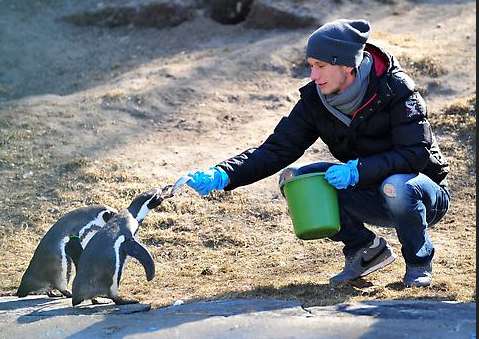 Photo : Le Herta au zoo