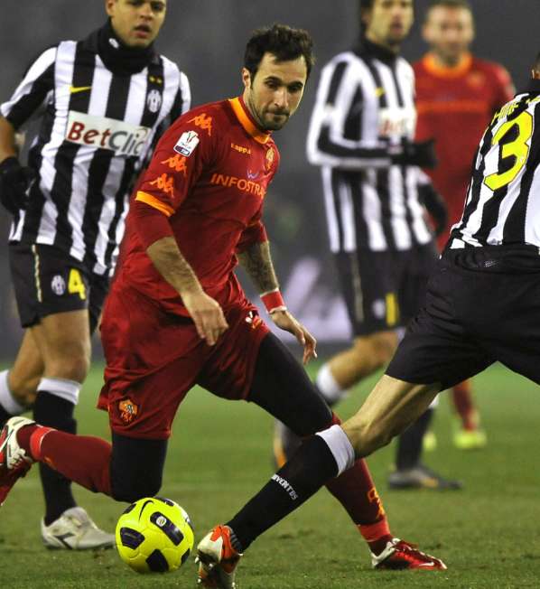 La louve et le zèbre