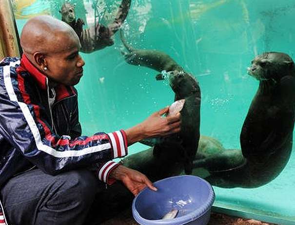 Photo : Felipe Santana au zoo