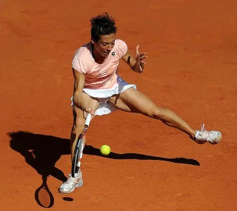 Prandelli et Schiavone