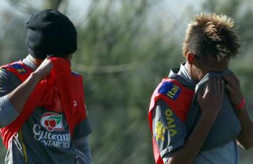 Photo : Partie de cache-cache auriverde