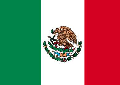 Copa America : 8 mexicains exclus !