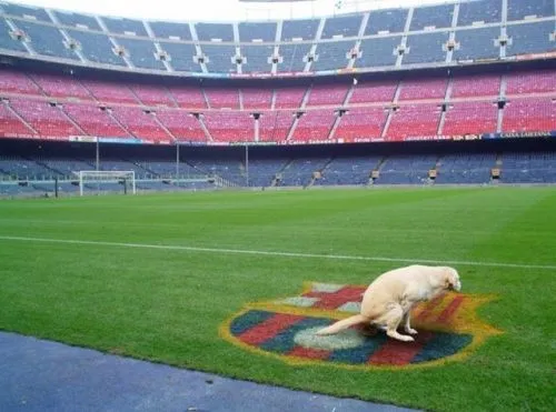 Photo : Le Barça ça fait ch…