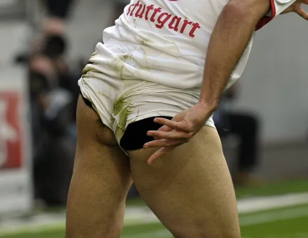 L&rsquo;arrière-train de Molinaro