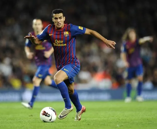 Deux à trois semaines pour Pedro