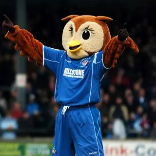 Il frappe la mascotte de son club