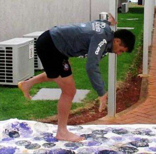 Photo : la toile de Paulo André